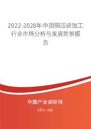 钢压延加工行业市场分析与发展前景报告（2022-2028年）